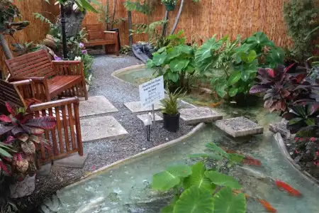 Oasis Waikiki - 21