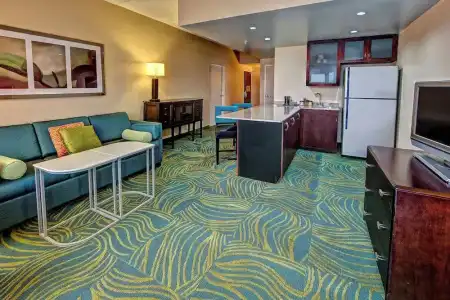SpringHill Suites Marriott Norfolk Old Dominion University - 33