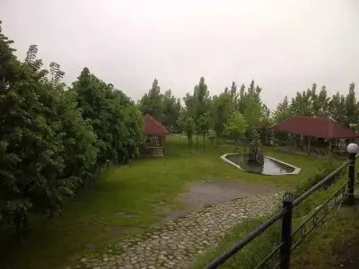 Kungut & Resort - 11