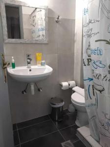 Erato Studios & Apartments - 8