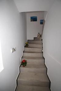 Sunset Faros - 14