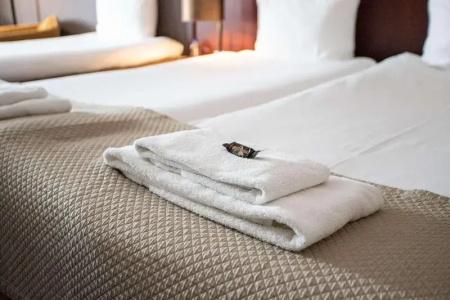 Best Western Plus Centre Den Bosch - 89