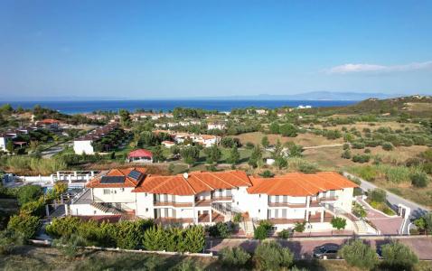 Ampelia Kassandra - 16