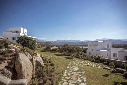 Naxian Collection - 19