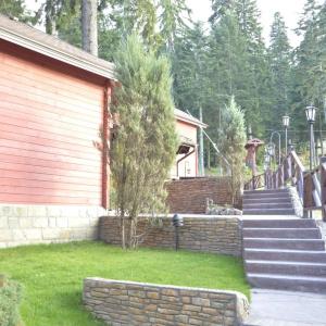 Villa Alpin - 33
