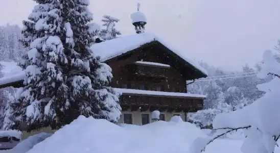 Bauernhof Auhof - 2