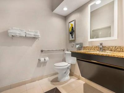 Comfort Inn & Suites Saint Louis Lafayette Square - 32