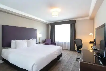Sandman & Suites Calgary South - 37