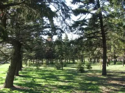 Park & SPA Boyana - 29