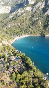 La Boheme Kabak - 61