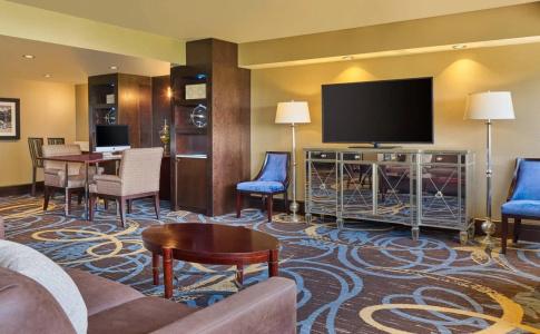 Sheraton North Houston at George Bush Intercontinental - 9