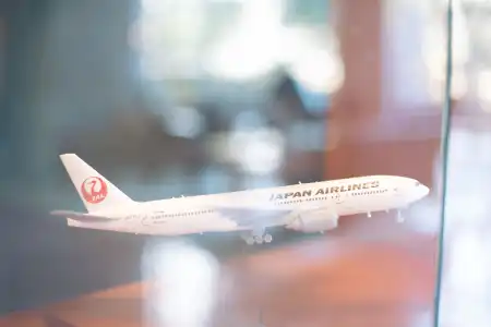 JAL City Tsukuba - 35