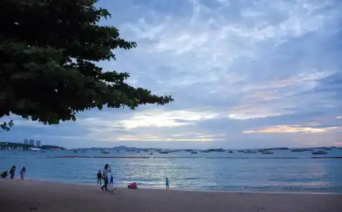 Basaya Beach & Resort - 23