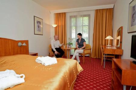 OREA Spa Cristal Mariánské Lázně - 22