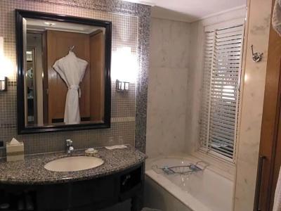 ITC Rajputana, A Luxury Collection, Jaipur - 64