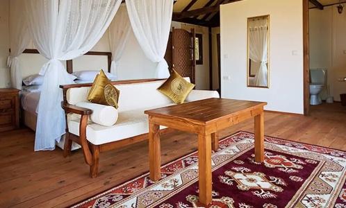 Kabak Avalon - 15