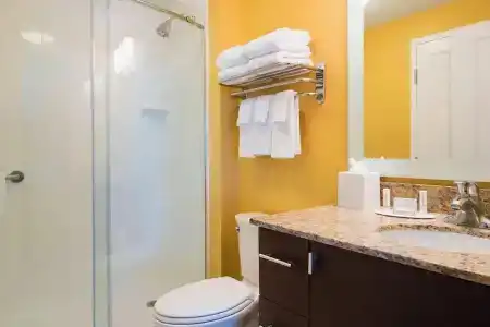 TownePlace Suites by Marriott Lexington South/Hamburg Place - 50