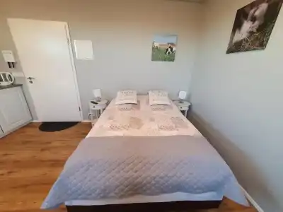 Skálatjörn Guesthouse - 56