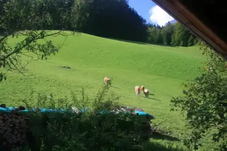 AlpenBeslhof - 22