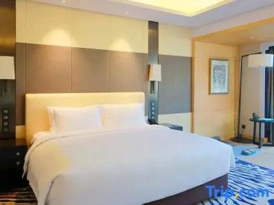 Radisson Blu Wuhan ETD Zone - 66