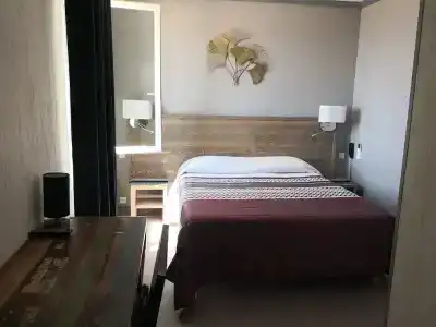 Hôtel Le Dauphin Bleu - 49