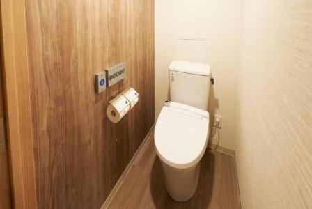 Sotetsu Fresa Inn Osaka-Shinsaibashi - 9