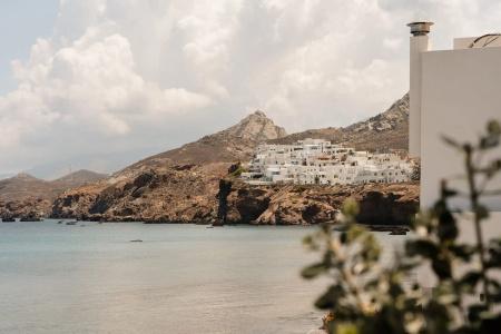Naxos Rhyton - 40