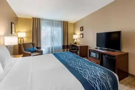Comfort Inn & Suites Ventura Beach - 31