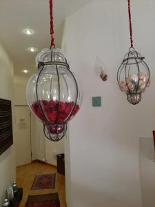 Exclusive Apartla Reunion - 11