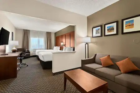 Comfort Suites University Las Cruces - 57