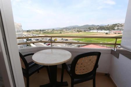 Alegria Florida - 27