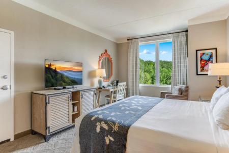Dollywood's DreamMore Resort - 5