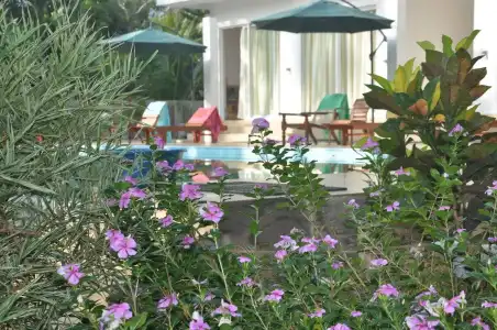 Karma Guesthouse - 12