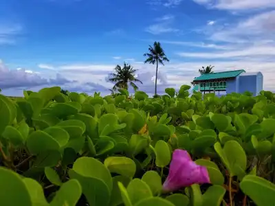Nomadic Inn - 14