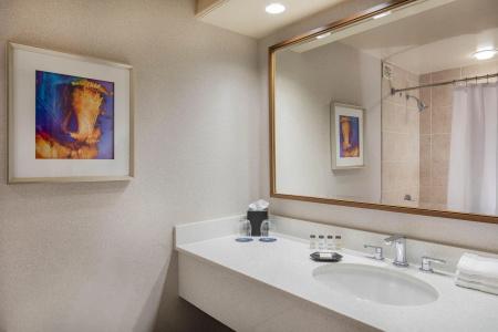 Sheraton Music City Nashville Airport - 38