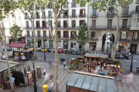 Apartments Rambla 102 - 46