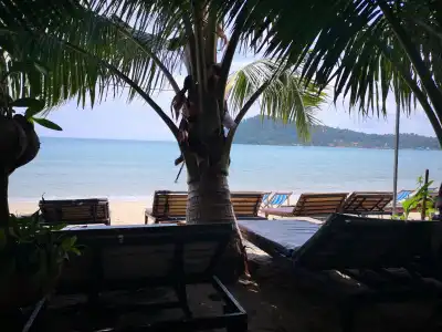 Yuyu Golden Beach - 8