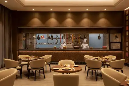 Radisson Mumbai Andheri MIDC - 13