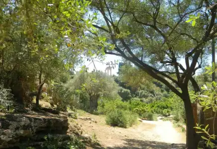 B&B San Leone - 53