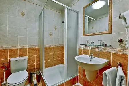 Attic - 29