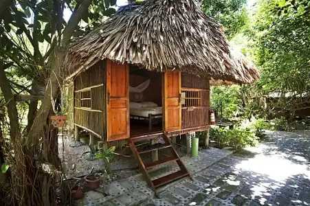 Monkey Island Resort - 65