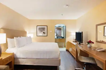 Best Western Plus Las Brisas - 6