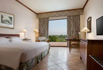 Hyatt Regency Yogyakarta - 2
