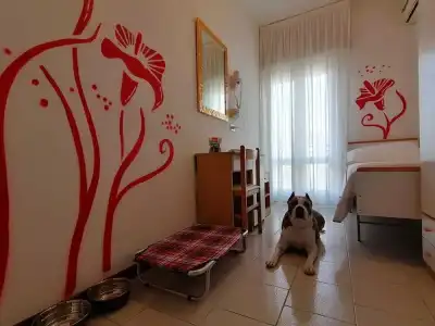 Kristalex Pet Family - 16