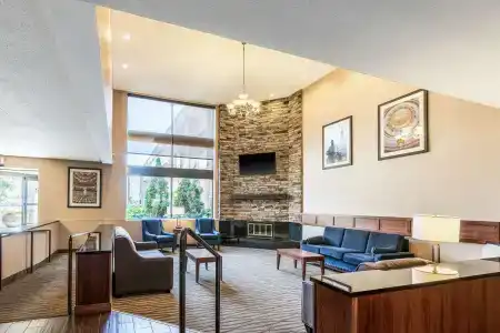 Comfort Inn Lansing West - 7