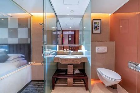 Goodview Sangem Zhangmutou - 102