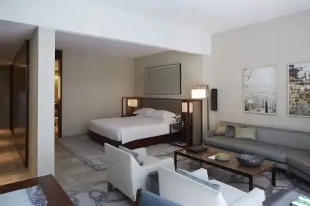 Park Hyatt New York - 64