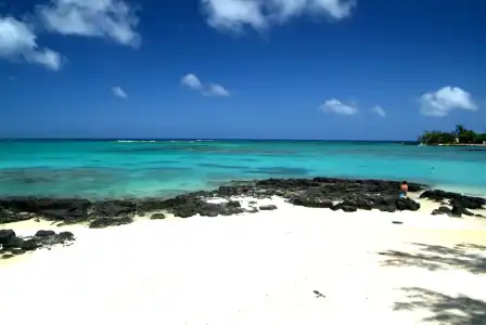 Ocean Beauty - 12