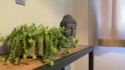 Kalia Beach Side - 17