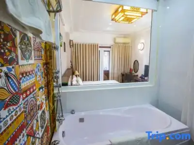 Hanoi Stella - 110